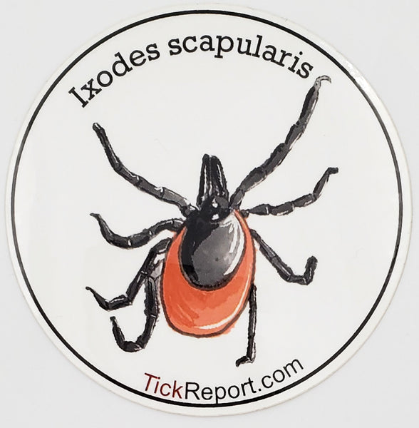 Ixodes Scapularis: Black-legged "deer" tick vinyl sticker - Blank background