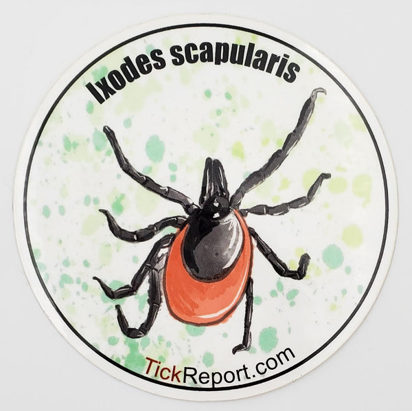 Ixodes Scapularis: Black-legged "deer" tick vinyl sticker - "Watercolor" background