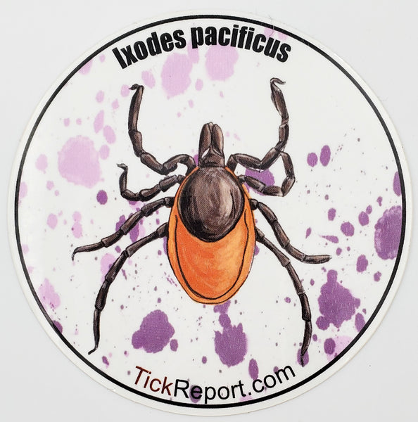Ixodes pacificus: Western Black-legged tick vinyl sticker - "Watercolor" background