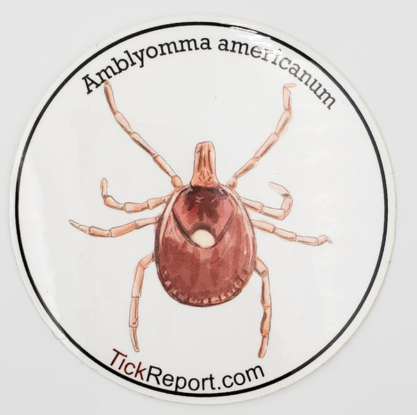 Amblyomma americanum: "Lone star tick" vinyl sticker - white background