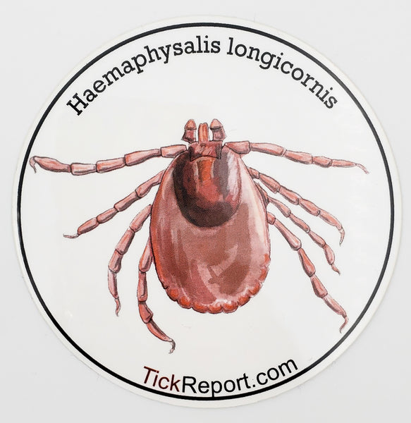 Haemaphysalis longicornis: "Asian longhorned tick" vinyl sticker - white background