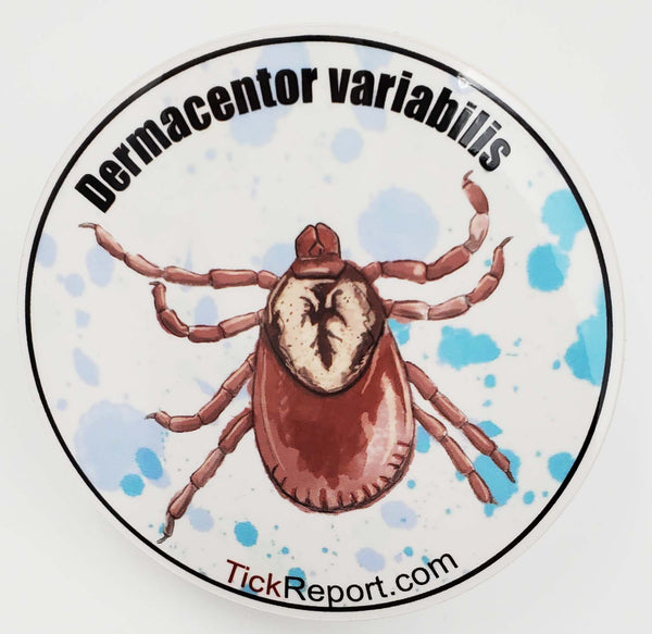 Dermacentor variabilis: "American dog tick" vinyl sticker - "Watercolor" background