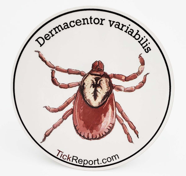 Dermacentor variabilis: "American dog tick" vinyl sticker - white background